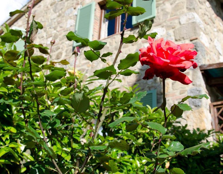 Tenuta Colombaio Casole d'Elsa Exterior photo